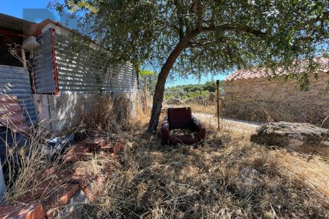 Helårsgrund i Castelo Branco, Castelo Branco, Castelo Branco - € 41.500 | Ref: 4679 - foto 9