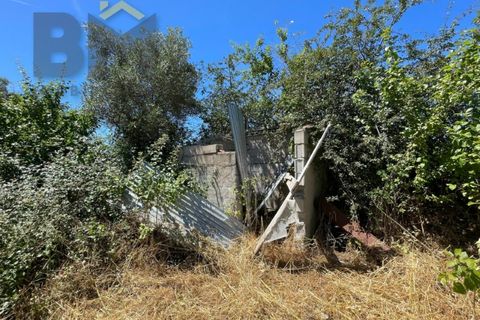 Helårsgrund i Castelo Branco, Castelo Branco, Castelo Branco - € 41.500 | Ref: 4679 - foto 20