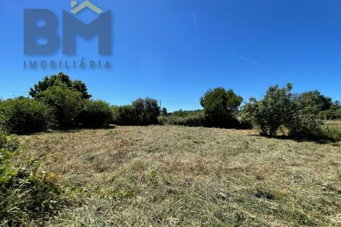 Helårsgrund i Castelo Branco, Castelo Branco, Castelo Branco - € 41.500 | Ref: 4679 - foto 21