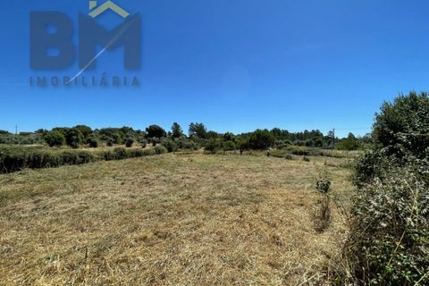 Helårsgrund i Castelo Branco, Castelo Branco, Castelo Branco - € 41.500 | Ref: 4679 - foto 23