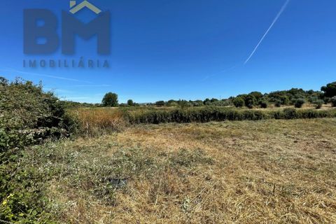 Helårsgrund i Castelo Branco, Castelo Branco, Castelo Branco - € 41.500 | Ref: 4679 - foto 24