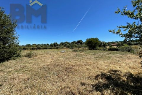 Helårsgrund i Castelo Branco, Castelo Branco, Castelo Branco - € 41.500 | Ref: 4679 - foto 25