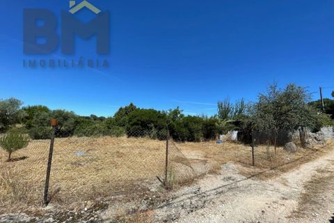 Helårsgrund i Castelo Branco, Castelo Branco, Castelo Branco - € 41.500 | Ref: 4679 - foto 26