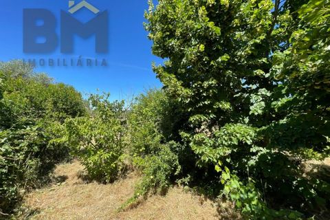 Helårsgrund i Castelo Branco, Castelo Branco, Castelo Branco - € 41.500 | Ref: 4679 - foto 27