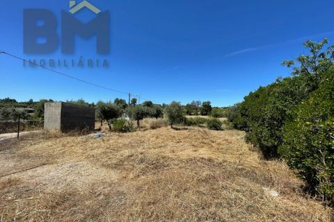 Helårsgrund i Castelo Branco, Castelo Branco, Castelo Branco - € 41.500 | Ref: 4679 - foto 28