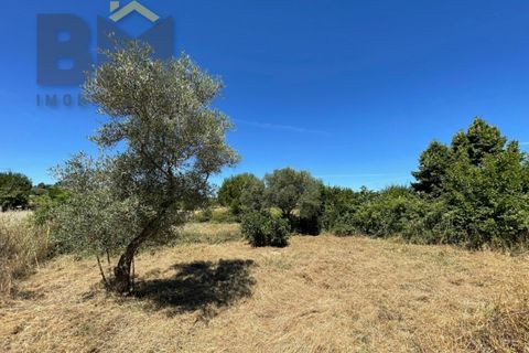 Helårsgrund i Castelo Branco, Castelo Branco, Castelo Branco - € 41.500 | Ref: 4679 - foto 29