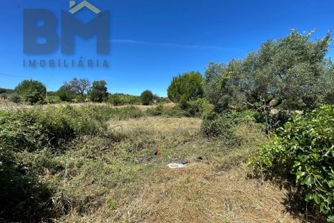 Helårsgrund i Castelo Branco, Castelo Branco, Castelo Branco - € 41.500 | Ref: 4679 - foto 30
