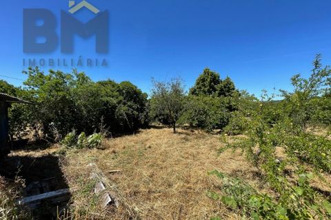Helårsgrund i Castelo Branco, Castelo Branco, Castelo Branco - € 41.500 | Ref: 4679 - foto 31