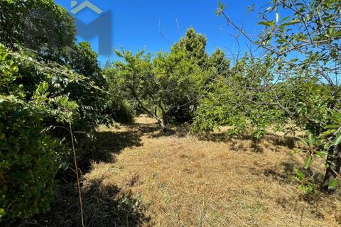 Helårsgrund i Castelo Branco, Castelo Branco, Castelo Branco - € 41.500 | Ref: 4679 - foto 32