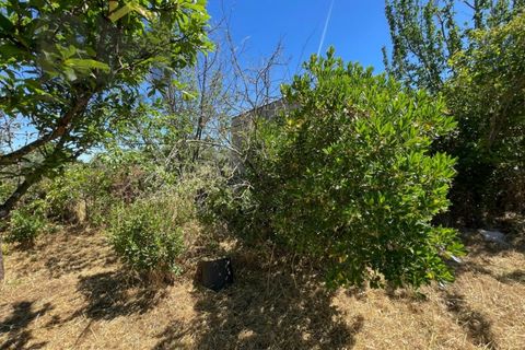 Helårsgrund i Castelo Branco, Castelo Branco, Castelo Branco - € 41.500 | Ref: 4679 - foto 33