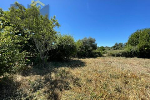 Helårsgrund i Castelo Branco, Castelo Branco, Castelo Branco - € 41.500 | Ref: 4679 - foto 38