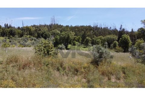 Helårsgrund i Monchique, Faro, Monchique - € 69.000 | Ref: MS111 - foto 2