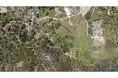 Helårsgrund i Monchique, Faro, Monchique - € 69.000 | Ref: MS111 - foto 4