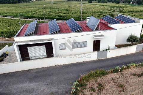 Byhus i Estarreja, Aveiro, Estarreja - € 550.000 | Ref: RC17082023 - foto 3