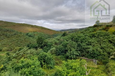 Helårsgrund i Arganil, Coimbra, Arganil - € 7.995 | Ref: 596 - foto 2