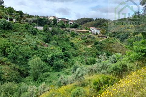 Helårsgrund i Arganil, Coimbra, Arganil - € 7.995 | Ref: 596 - foto 5