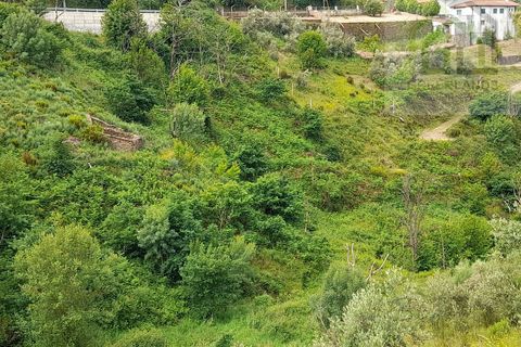 Helårsgrund i Arganil, Coimbra, Arganil - € 7.995 | Ref: 596 - foto 6