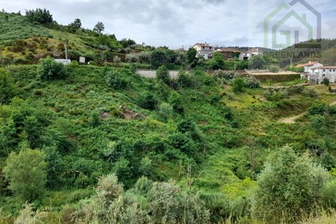 Helårsgrund i Arganil, Coimbra, Arganil - € 7.995 | Ref: 596 - foto 7