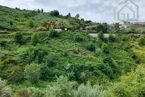 Helårsgrund i Arganil, Coimbra, Arganil - € 7.995 | Ref: 596 - foto 8