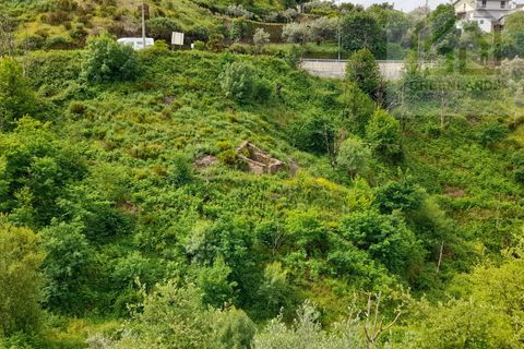 Helårsgrund i Arganil, Coimbra, Arganil - € 7.995 | Ref: 596 - foto 10