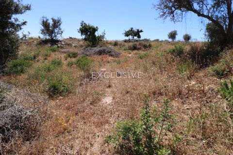 Helårsgrund i Lagoa, Faro, Lagoa - € 615.000 | Ref: EAV-3090 - foto 16