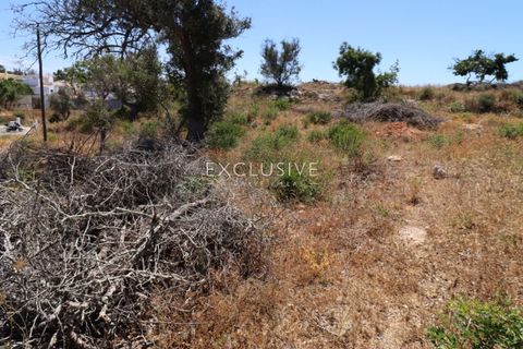 Helårsgrund i Lagoa, Faro, Lagoa - € 615.000 | Ref: EAV-3090 - foto 19