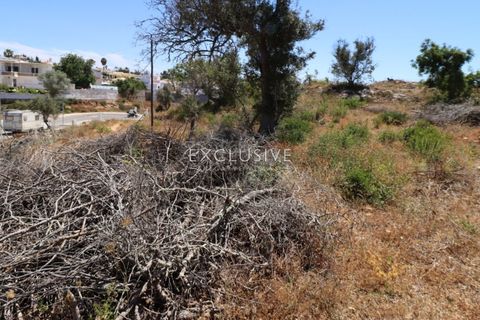 Helårsgrund i Lagoa, Faro, Lagoa - € 615.000 | Ref: EAV-3090 - foto 20