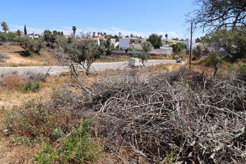 Helårsgrund i Lagoa, Faro, Lagoa - € 615.000 | Ref: EAV-3090 - foto 21