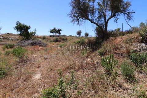 Helårsgrund i Lagoa, Faro, Lagoa - € 615.000 | Ref: EAV-3090 - foto 18