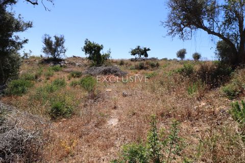 Helårsgrund i Lagoa, Faro, Lagoa - € 615.000 | Ref: EAV-3090 - foto 25