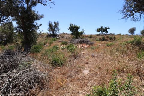 Helårsgrund i Lagoa, Faro, Lagoa - € 615.000 | Ref: EAV-3090 - foto 26
