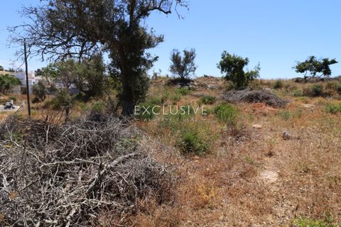 Helårsgrund i Lagoa, Faro, Lagoa - € 615.000 | Ref: EAV-3090 - foto 27