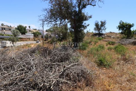 Helårsgrund i Lagoa, Faro, Lagoa - € 615.000 | Ref: EAV-3090 - foto 28