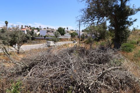 Helårsgrund i Lagoa, Faro, Lagoa - € 615.000 | Ref: EAV-3090 - foto 29