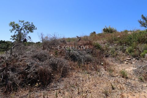 Helårsgrund i Lagoa, Faro, Lagoa - € 510.000 | Ref: EAV-3846 - foto 18