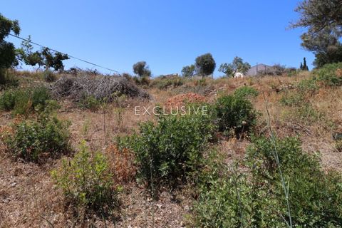 Helårsgrund i Lagoa, Faro, Lagoa - € 510.000 | Ref: EAV-3846 - foto 19