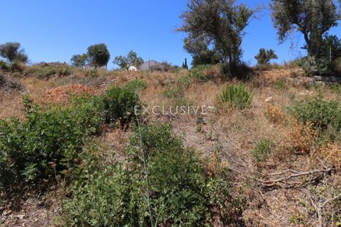 Helårsgrund i Lagoa, Faro, Lagoa - € 510.000 | Ref: EAV-3846 - foto 23