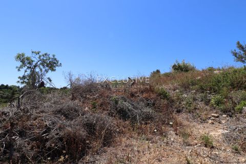 Helårsgrund i Lagoa, Faro, Lagoa - € 510.000 | Ref: EAV-3846 - foto 27