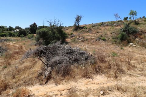 Helårsgrund i Lagoa, Faro, Lagoa - € 385.000 | Ref: EAV-3847 - foto 14