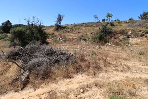 Helårsgrund i Lagoa, Faro, Lagoa - € 385.000 | Ref: EAV-3847 - foto 17