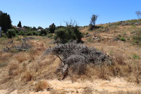 Helårsgrund i Lagoa, Faro, Lagoa - € 385.000 | Ref: EAV-3847 - foto 18