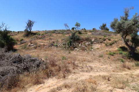 Helårsgrund i Lagoa, Faro, Lagoa - € 385.000 | Ref: EAV-3847 - foto 16