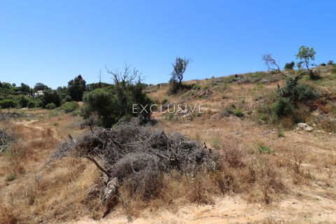 Helårsgrund i Lagoa, Faro, Lagoa - € 385.000 | Ref: EAV-3847 - foto 26