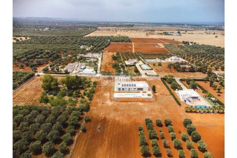 Villa a Carovigno, Brindisi, Carovigno - € 825.000 | Ref: vp2 newly built - foto 8