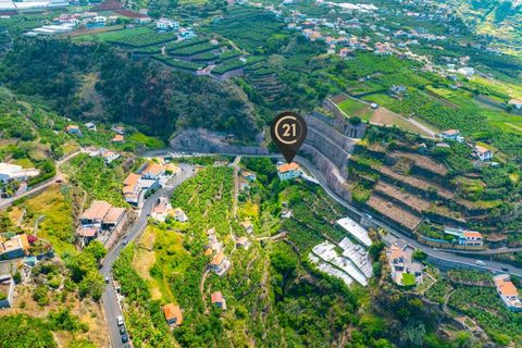 Villa i Ponta do Sol, Madeira, Ponta do Sol - € 450.000 | Ref: C0216-02943 - foto 6