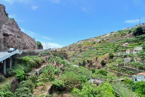 Villa i Ponta do Sol, Madeira, Ponta do Sol - € 450.000 | Ref: C0216-02943 - foto 17