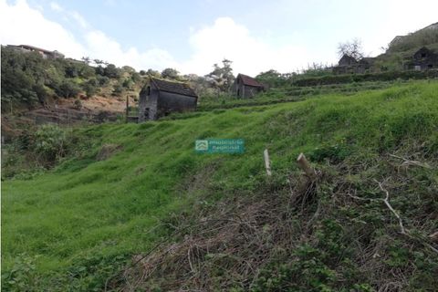 Helårsgrund i Chaves, Vila Real, Chaves - € 320.000 | Ref: 1061-2 - foto 6
