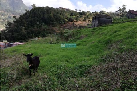 Helårsgrund i Chaves, Vila Real, Chaves - € 320.000 | Ref: 1061-2 - foto 7