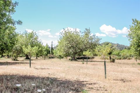Villa a Alaro, Mallorca, Alaro - € 3.200.000 | Ref: SAE 1709 - foto 31