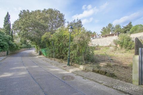 Tomt i Pollenca, Mallorca, Pollenca - € 500 000 | Ref: 1631 - foto 2